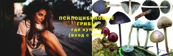 бутират Алексин