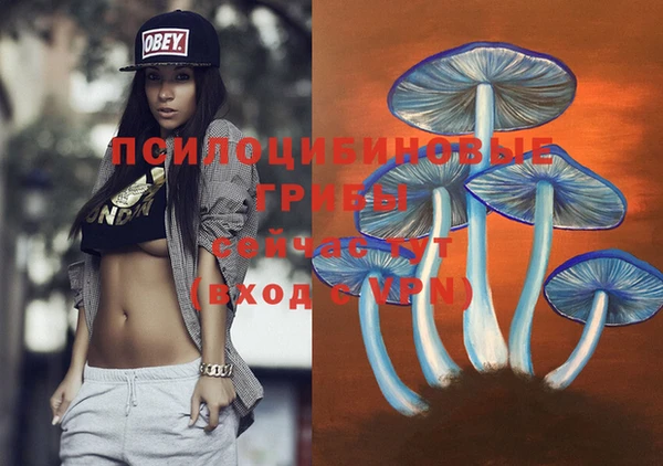 меф Абинск