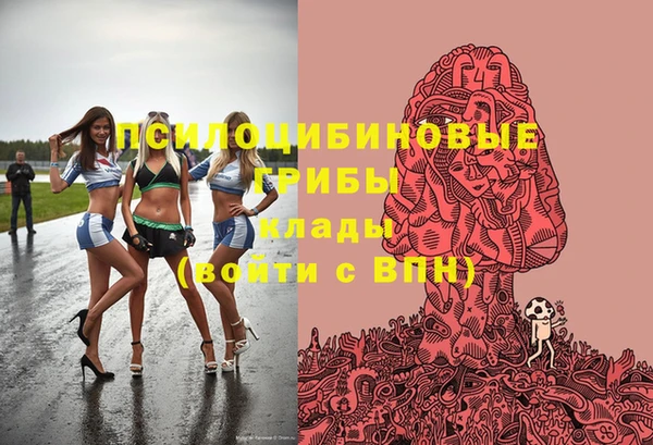 spice Абаза